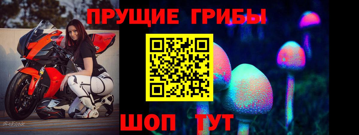 Псилоцибиновые грибы MAGIC MUSHROOMS  Вход с VPN  где найти   Псилоцибиновые грибы ЛСД  Прохладный 
